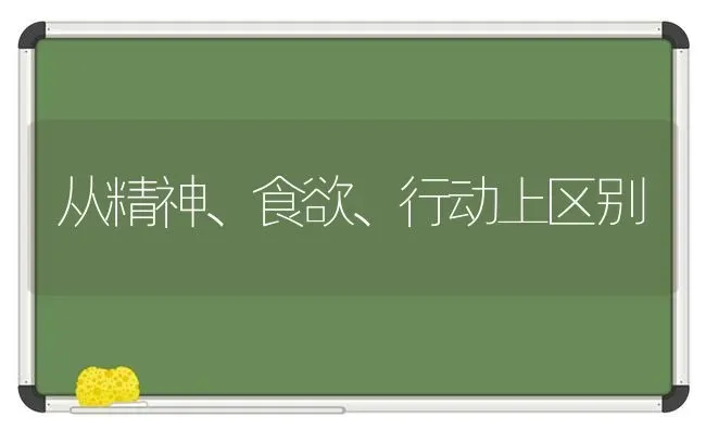 从精神、食欲、行动上区别 | 养殖技术大全