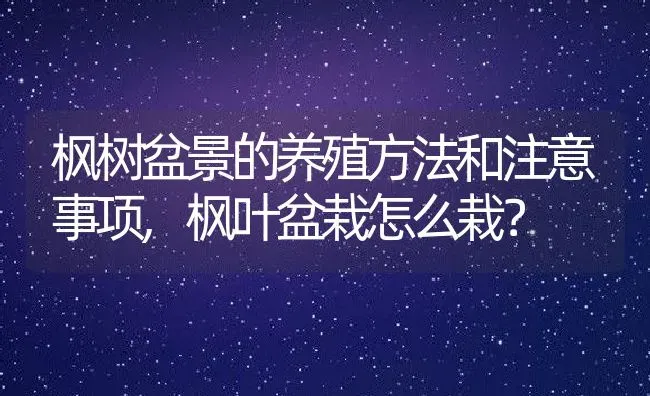 枫树盆景的养殖方法和注意事项,枫叶盆栽怎么栽？ | 养殖科普