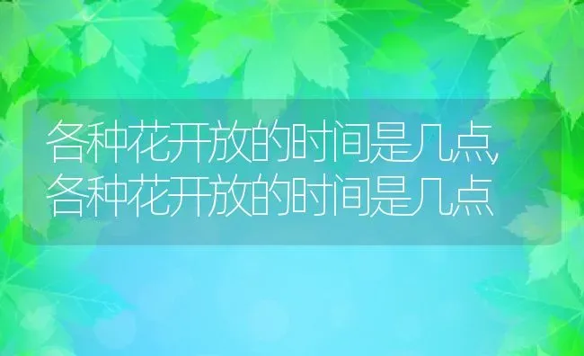 桂花的嫁接方法,山东秋季嫁接桂花技术？ | 养殖科普