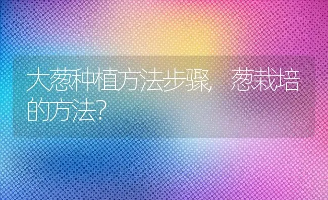 大葱种植方法步骤,葱栽培的方法？ | 养殖科普