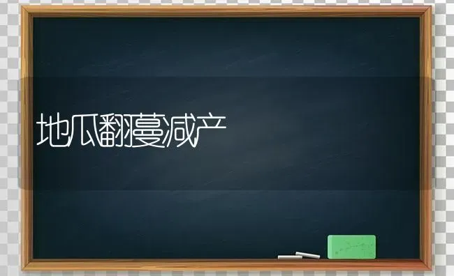 地瓜翻蔓减产 | 养殖知识