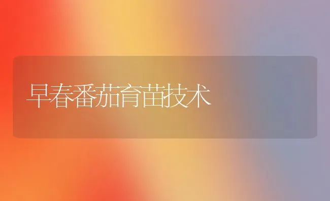 早春番茄育苗技术 | 养殖知识