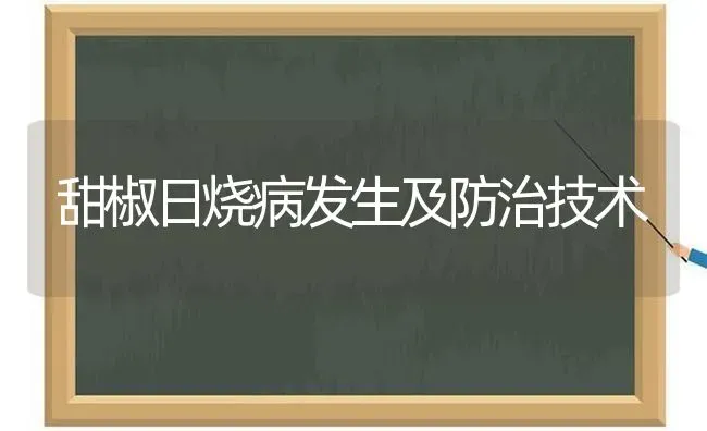 甜椒日烧病发生及防治技术 | 养殖技术大全