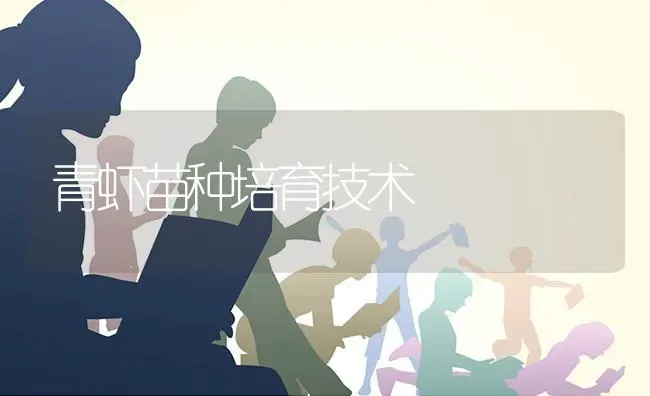 青虾苗种培育技术 | 养殖技术大全