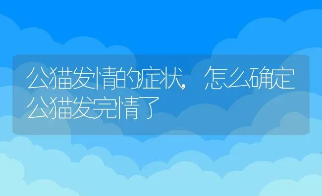 公猫发情的症状,怎么确定公猫发完情了 | 养殖科普