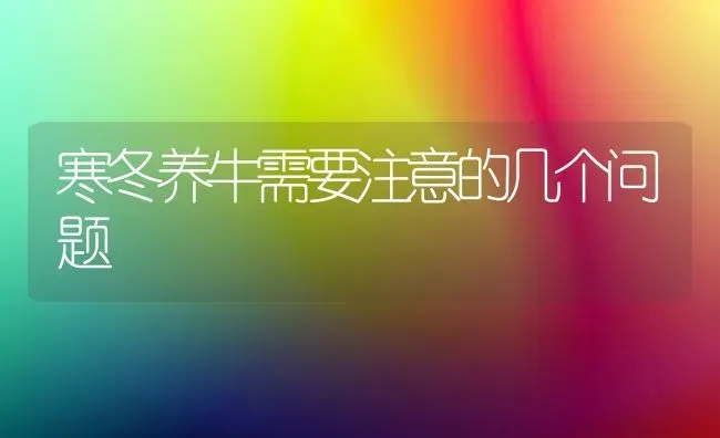 寒冬养牛需要注意的几个问题 | 养殖技术大全