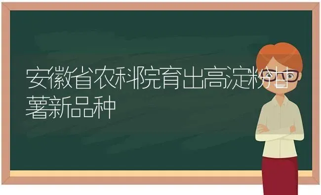 安徽省农科院育出高淀粉甘薯新品种 | 养殖技术大全