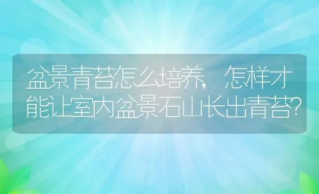 盆景青苔怎么培养,怎样才能让室内盆景石山长出青苔？ | 养殖科普