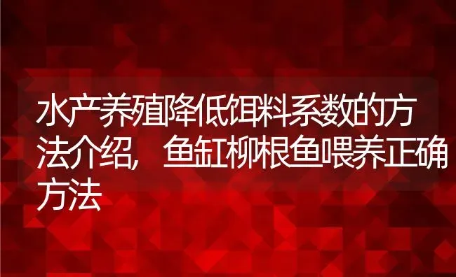 水产养殖降低饵料系数的方法介绍,鱼缸柳根鱼喂养正确方法 | 养殖学堂