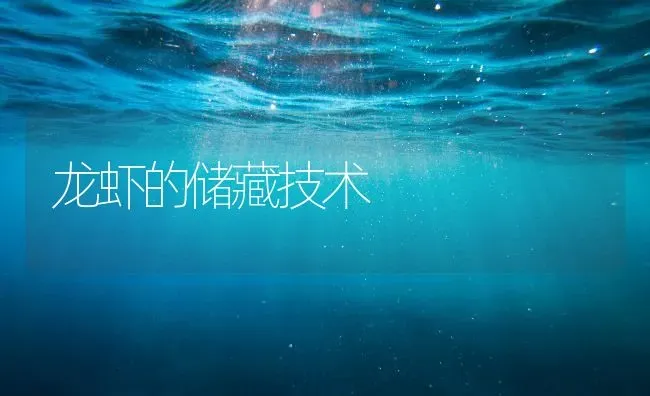 龙虾的储藏技术 | 养殖知识