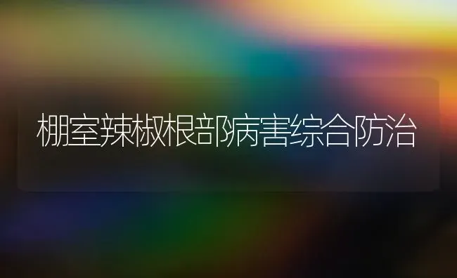 棚室辣椒根部病害综合防治 | 养殖知识