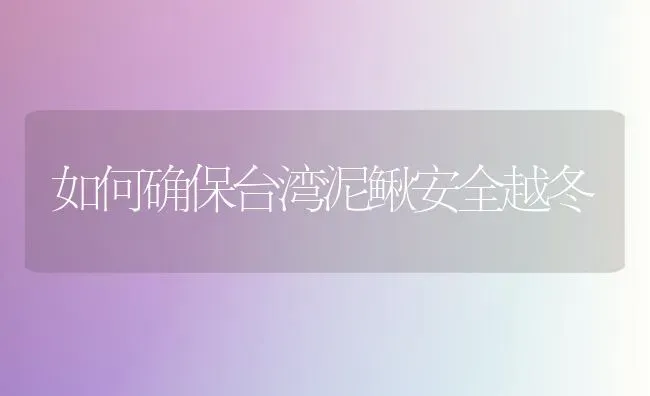如何确保台湾泥鳅安全越冬 | 养殖技术大全