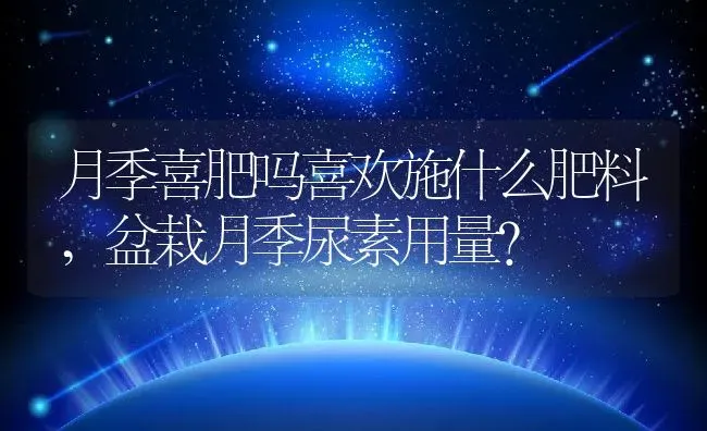 月季喜肥吗喜欢施什么肥料,盆栽月季尿素用量？ | 养殖科普