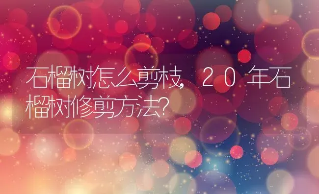 石榴树怎么剪枝,20年石榴树修剪方法？ | 养殖科普