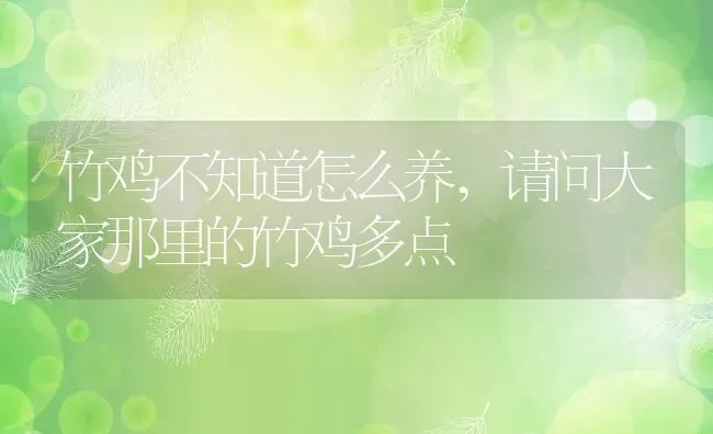 竹鸡不知道怎么养,请问大家那里的竹鸡多点 | 养殖学堂