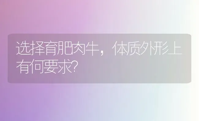 选择育肥肉牛,体质外形上有何要求? | 养殖知识