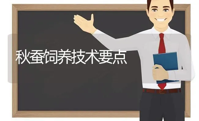 秋蚕饲养技术要点 | 养殖知识