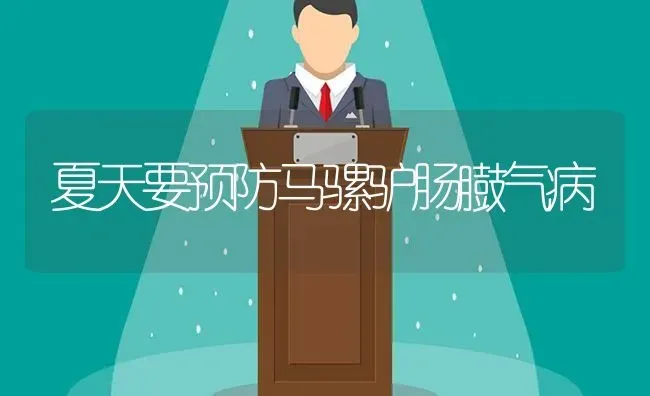 夏天要预防马骡驴肠臌气病 | 养殖知识