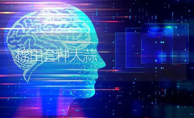 棉田套种大蒜 | 养殖知识