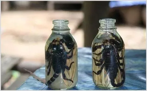 活蝎子泡酒能喝吗 | 常识大全