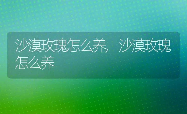 沙漠玫瑰怎么养,沙漠玫瑰怎么养 | 养殖科普