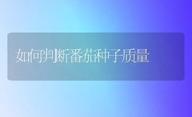 如何判断番茄种子质量 | 养殖知识