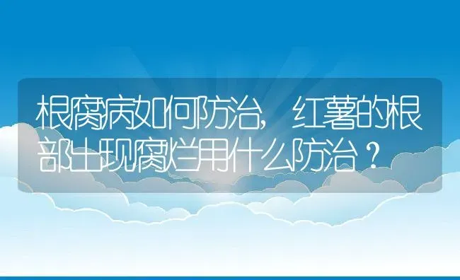 根腐病如何防治,红薯的根部出现腐烂用什么防治？ | 养殖科普