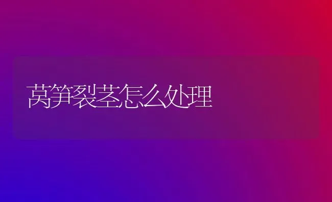 莴笋裂茎怎么处理 | 养殖知识