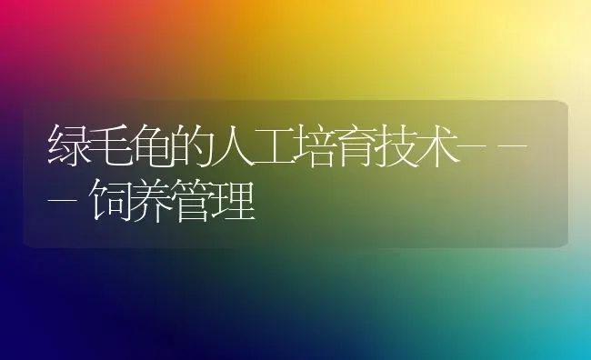 绿毛龟的人工培育技术---饲养管理 | 养殖技术大全