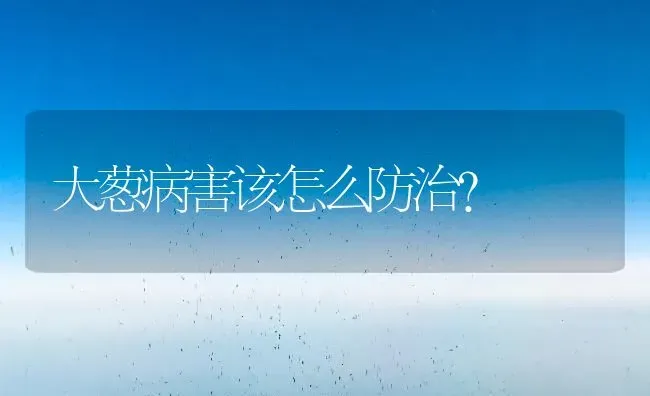 大葱病害该怎么防治? | 养殖技术大全