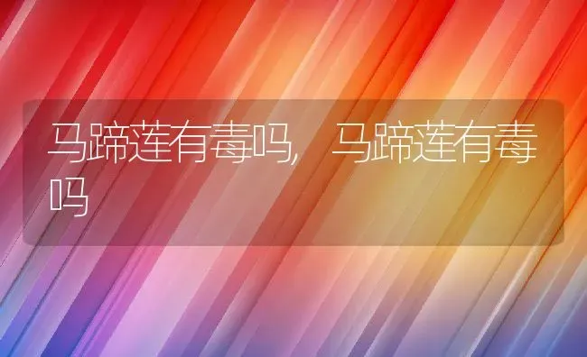 室内最好养的植物排名,最耐阴耐寒的十大庭院常绿植物？ | 养殖科普