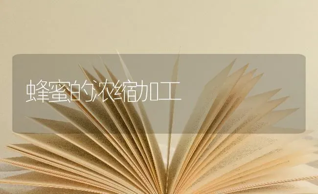 蜂蜜的浓缩加工 | 养殖知识
