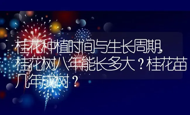 桂花种植时间与生长周期,桂花树八年能长多大？桂花苗几年成树？ | 养殖科普