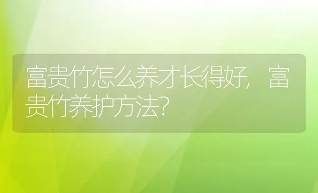 富贵竹怎么养才长得好,富贵竹养护方法？ | 养殖科普