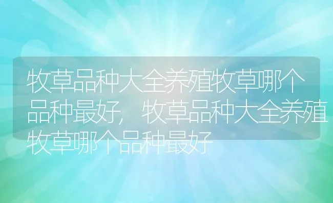 牧草品种大全养殖牧草哪个品种最好,牧草品种大全养殖牧草哪个品种最好 | 养殖科普