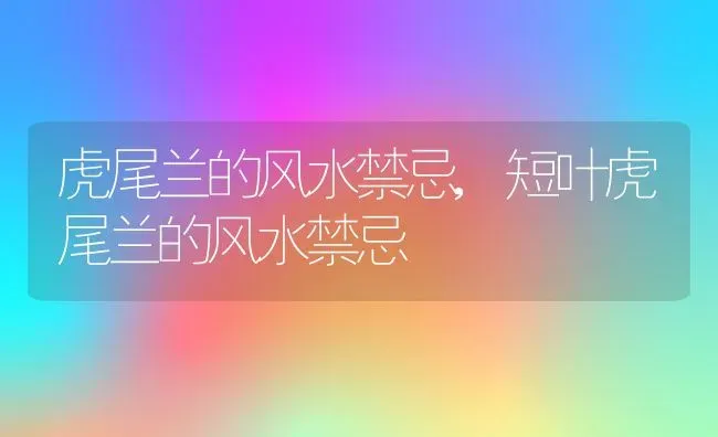 虎尾兰的风水禁忌,短叶虎尾兰的风水禁忌 | 养殖科普