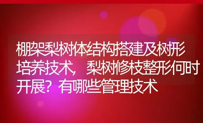 棚架梨树体结构搭建及树形培养技术,梨树修枝整形何时开展？有哪些管理技术 | 养殖学堂