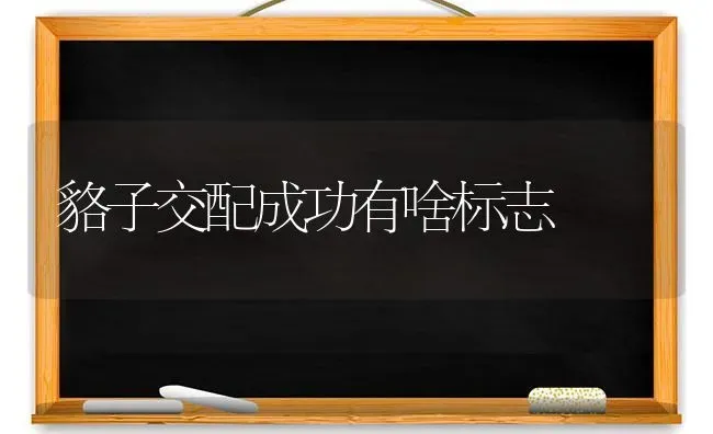 貉子交配成功有啥标志 | 养殖知识