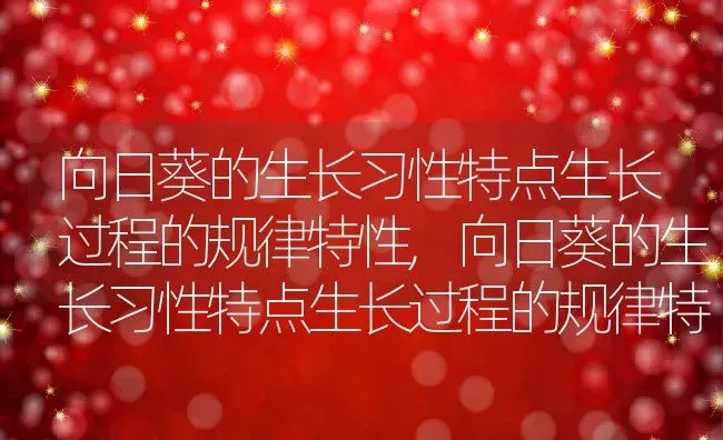 向日葵的生长习性特点生长过程的规律特性,向日葵的生长习性特点生长过程的规律特性 | 养殖科普