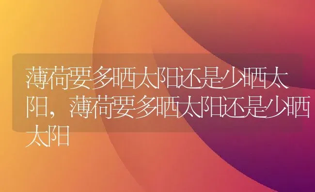 薄荷要多晒太阳还是少晒太阳,薄荷要多晒太阳还是少晒太阳 | 养殖科普