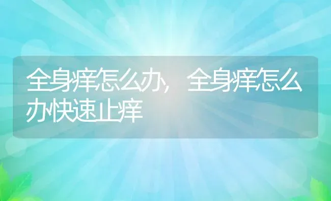 全身痒怎么办,全身痒怎么办快速止痒 | 养殖学堂