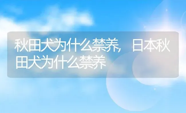 秋田犬为什么禁养,日本秋田犬为什么禁养 | 养殖科普