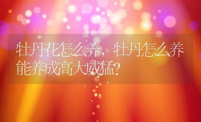 牡丹花怎么养,牡丹怎么养能养成高大威猛？ | 养殖学堂