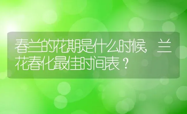 春兰的花期是什么时候,兰花春化最佳时间表？ | 养殖科普