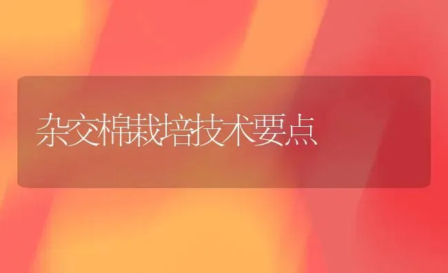 杂交棉栽培技术要点 | 养殖知识