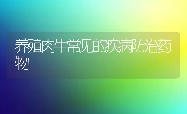 养殖肉牛常见的疾病防治药物 | 养殖技术大全