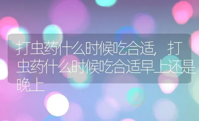 打虫药什么时候吃合适,打虫药什么时候吃合适早上还是晚上 | 养殖科普