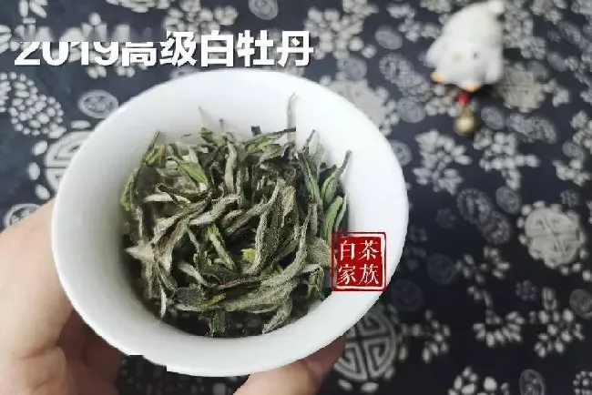 喝陈皮白茶有什么好处,陈皮白茶什么季节喝最好？