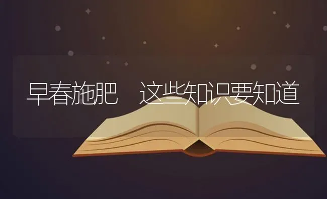 丰产优质抗性强---特青迟心4号 | 养殖技术大全