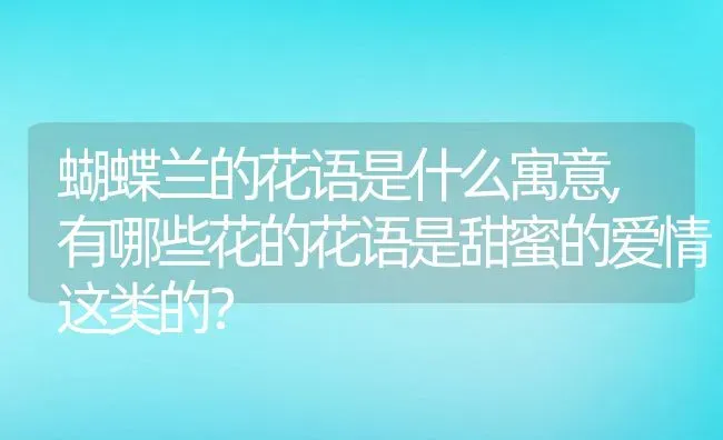 蝴蝶兰的花语是什么寓意,有哪些花的花语是甜蜜的爱情这类的？ | 养殖科普